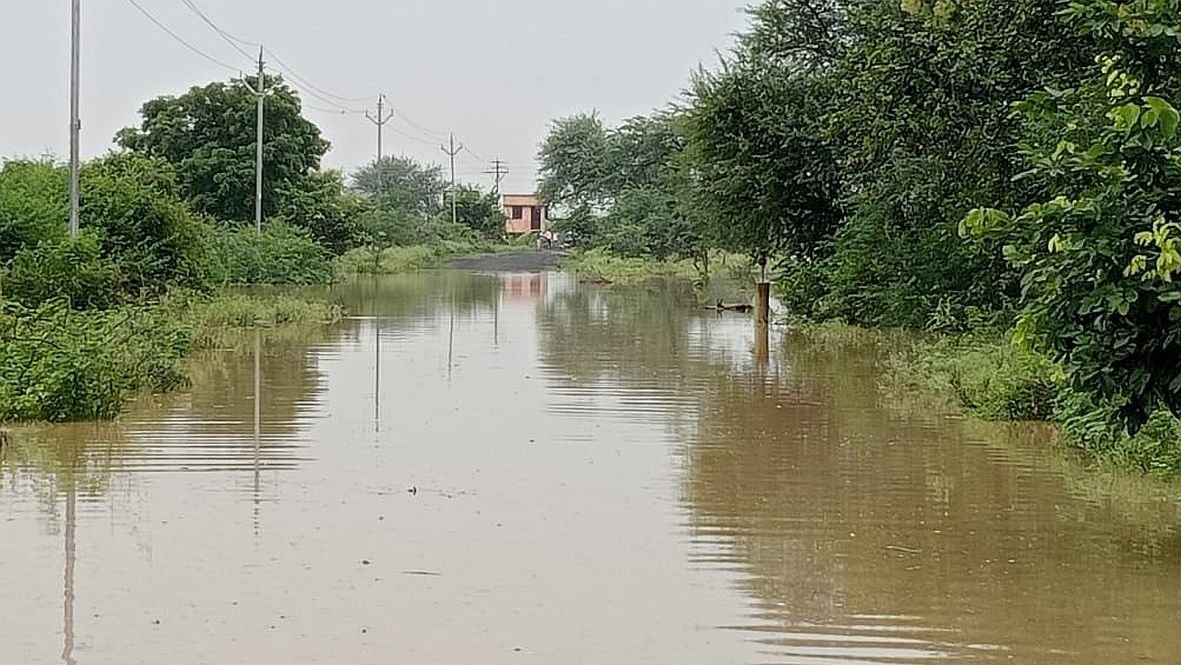बातमीचा फोटो