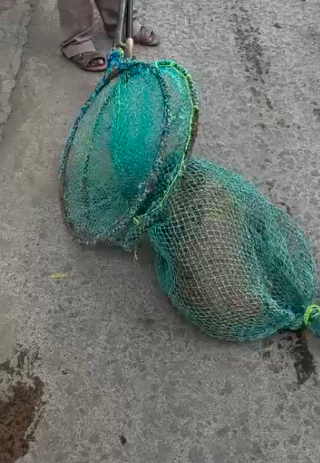 बातमीचा फोटो